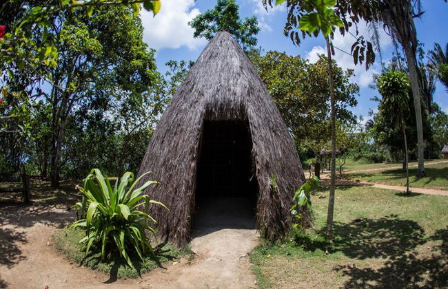 Belly Saw Tour, Quilombo dos Palmares - Photo 2